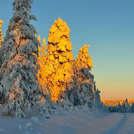 Апартаменты Pekkala