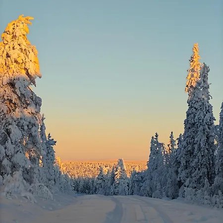 Pekkala *