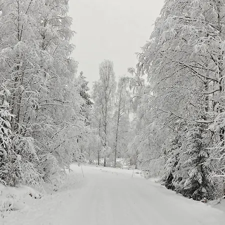 Pekkala *