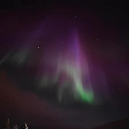 Pekkala *